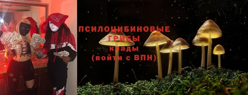 Псилоцибиновые грибы Magic Shrooms  купить наркоту  Ужур 